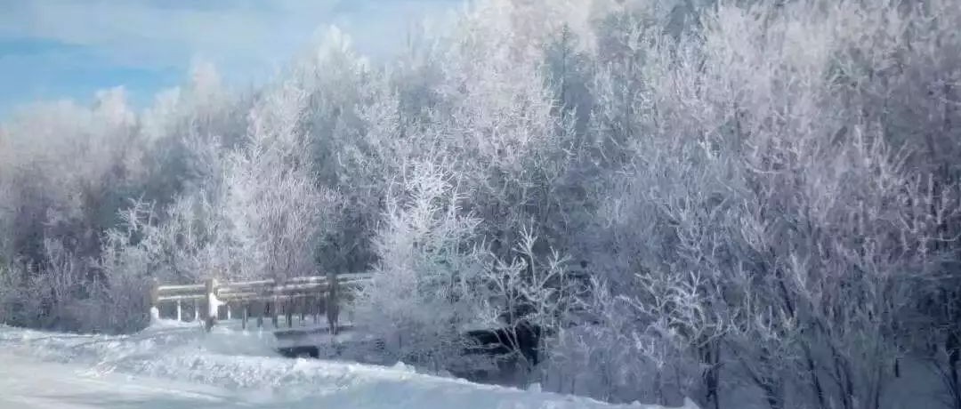 奕行記|奕路向北，駛向雪國阿爾山