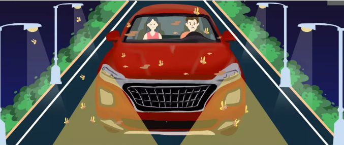 安全清除車(chē)身飛蟲(chóng)，僅需十分鐘